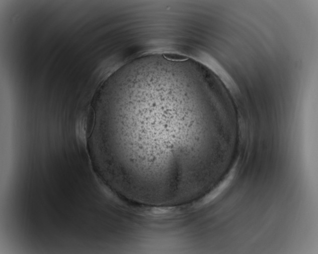 X0000093170857200710101211