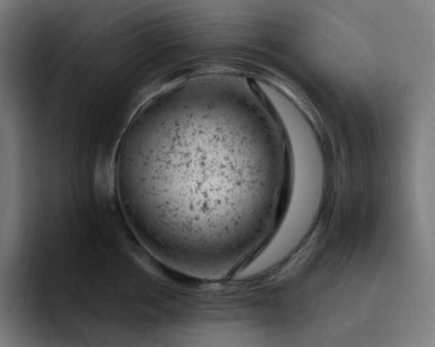X0000093170858200710101211