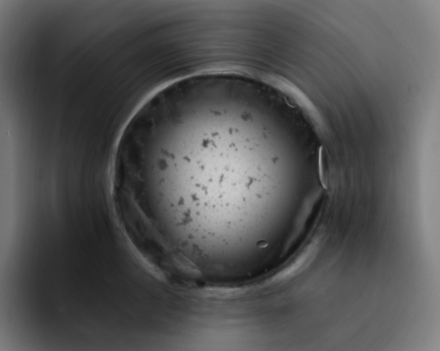 X0000093170860200710101211