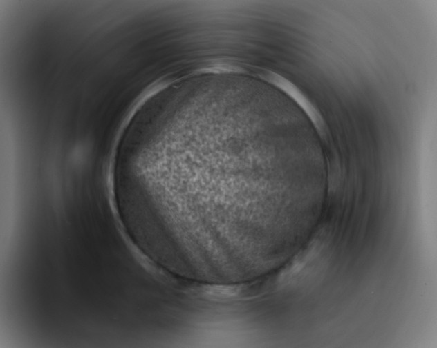 X0000093170861200710101211