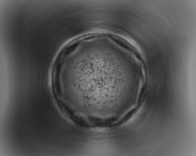 X0000093170862200710101211
