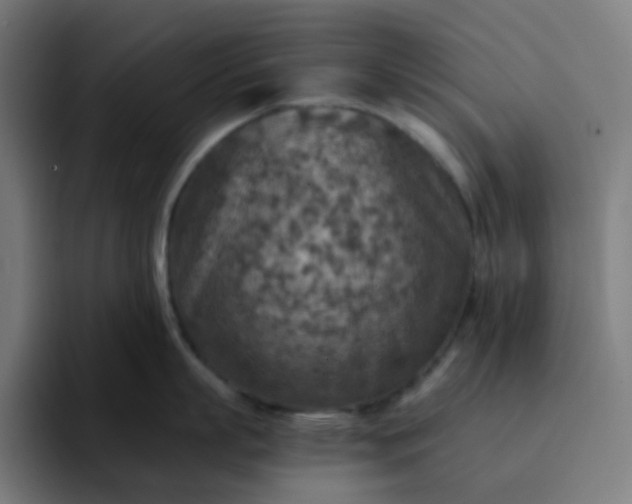 X0000093170863200710101211
