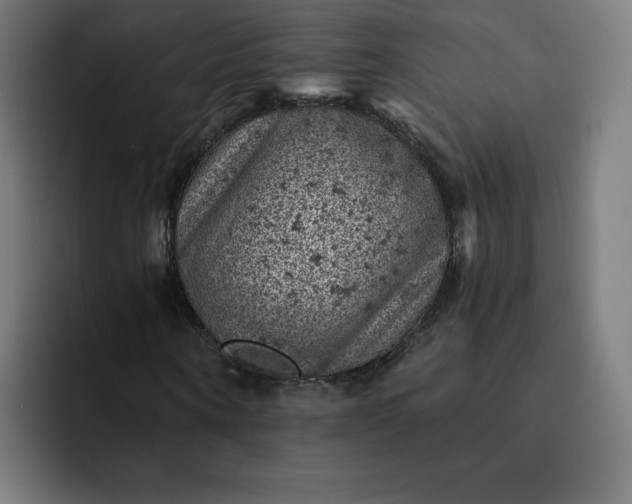 X0000093170866200710101210