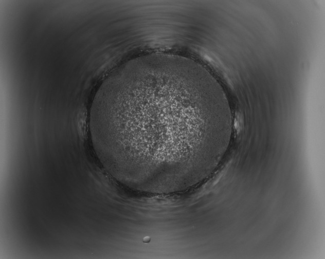 X0000093170867200710101210