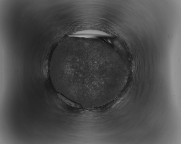 X0000093170868200710101210