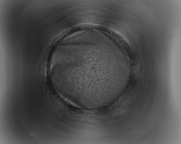X0000093170870200710101210