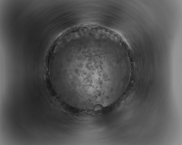 X0000093170871200710101210