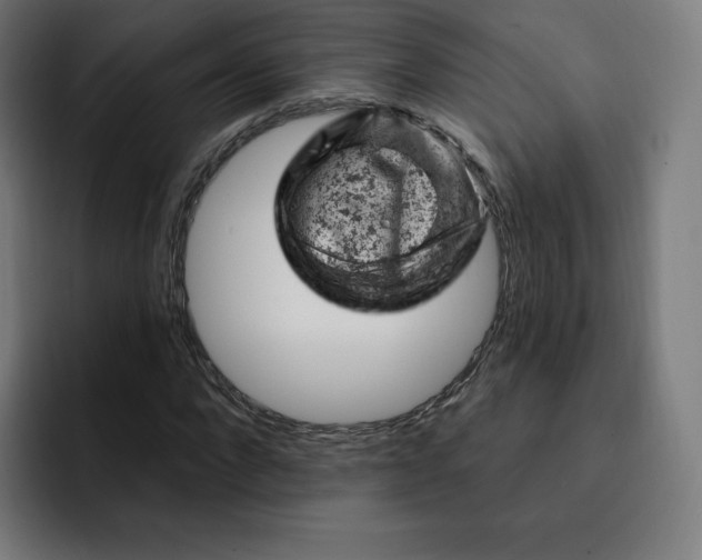 X0000093170872200710101210