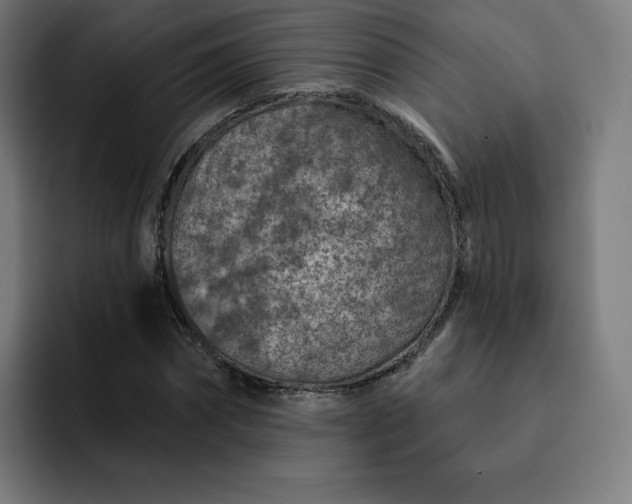 X0000093170874200710101210