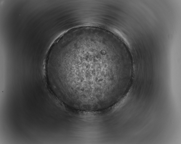 X0000093170875200710101210