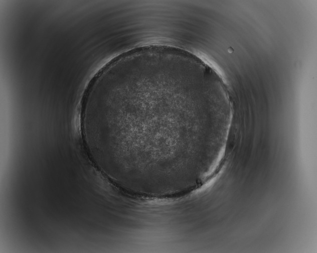 X0000093170877200710101210