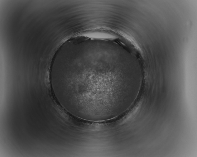 X0000093170881200710101210