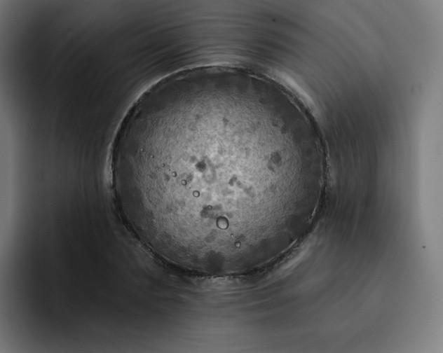 X0000093170883200710101210