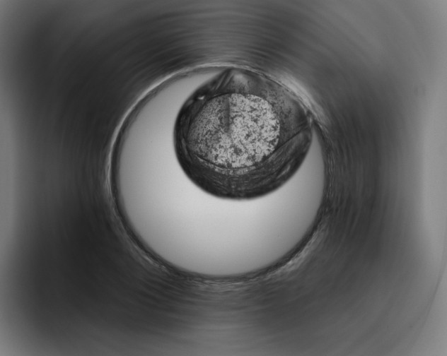 X0000093170884200710101210