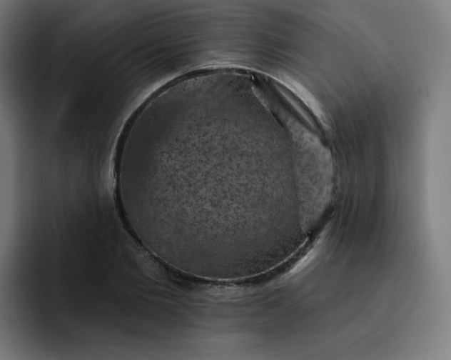 X0000093170885200710101210
