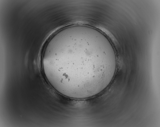 X0000093170886200710101210