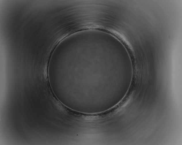 X0000093170889200710101210
