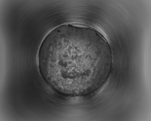 X0000093170891200710101210