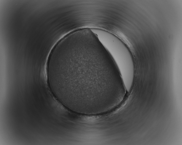 X0000093170892200710101210