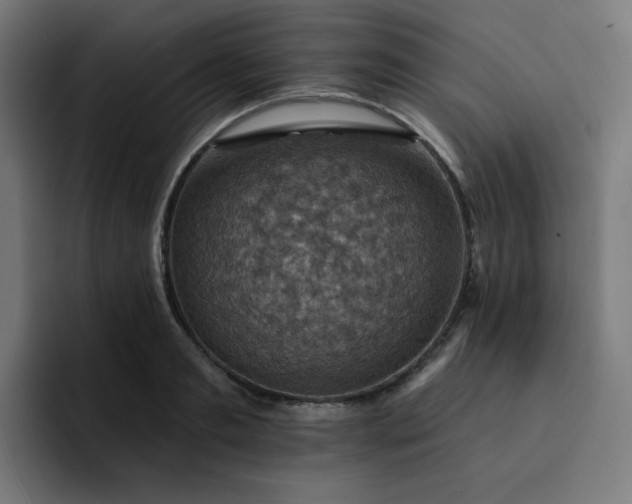 X0000093170893200710101210