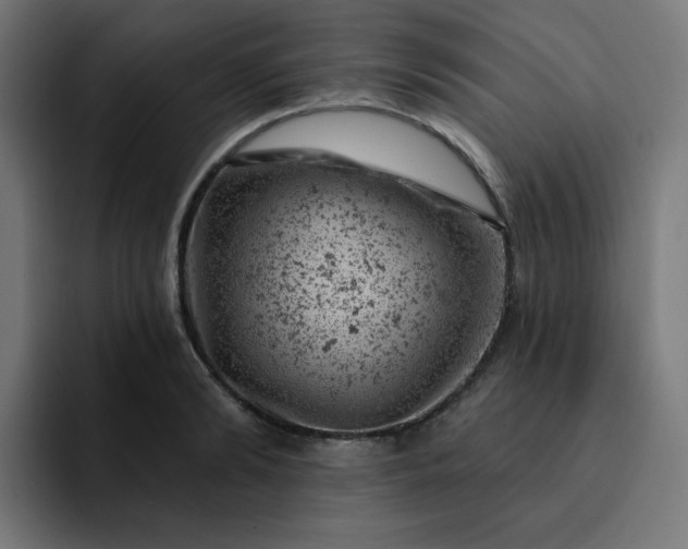X0000093170894200710101210