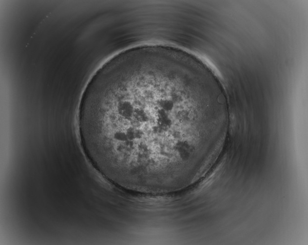 X0000093170895200710101210
