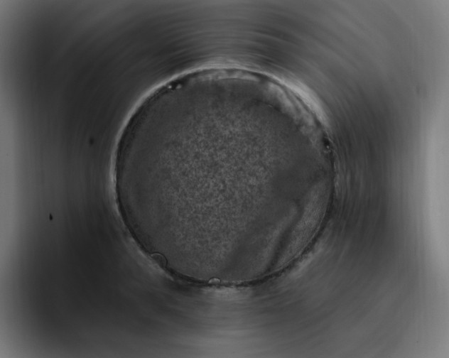 X0000093170896200710101210
