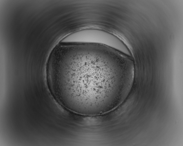 X0000093170898200710101210