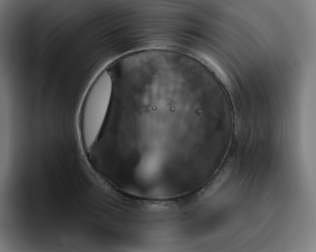X0000093170899200710101210