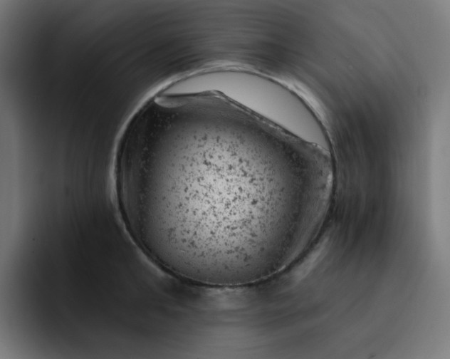 X0000093170902200710101210