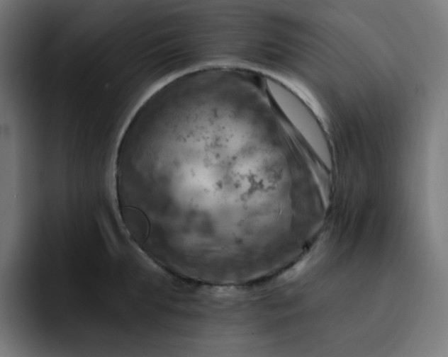 X0000093170903200710101210