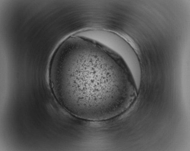 X0000093170904200710101210