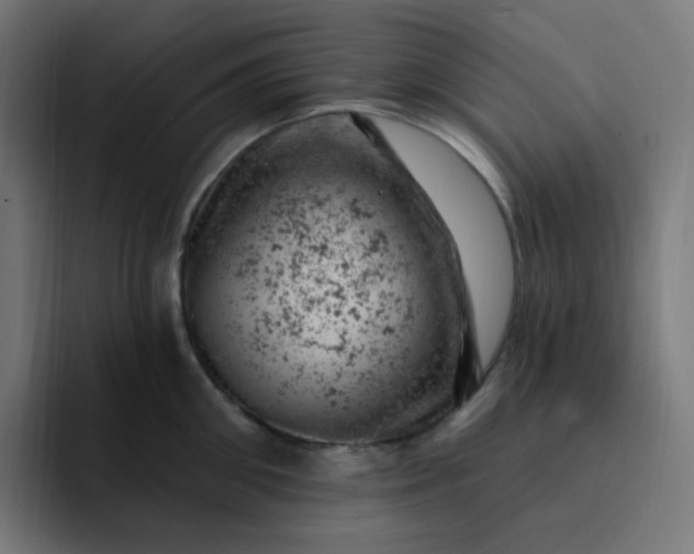 X0000093170906200710101210