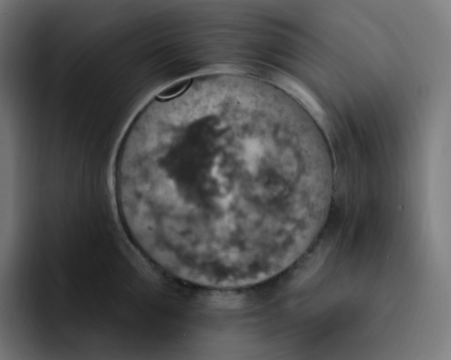 X0000093170907200710101210
