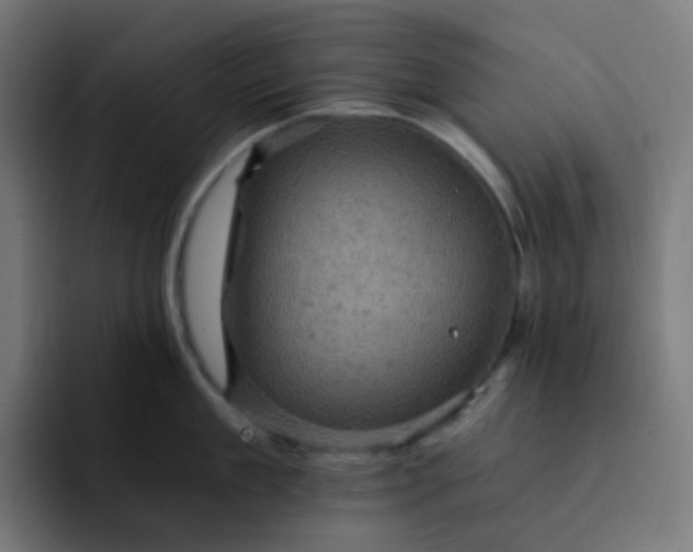 X0000093170909200710101210