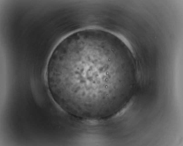 X0000093170911200710101210
