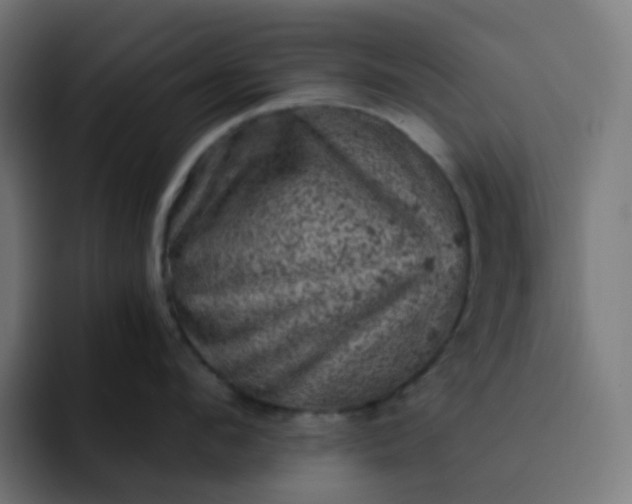 X0000093170912200710101210