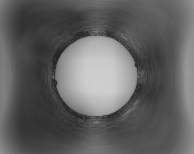 X0000093170913200710101209