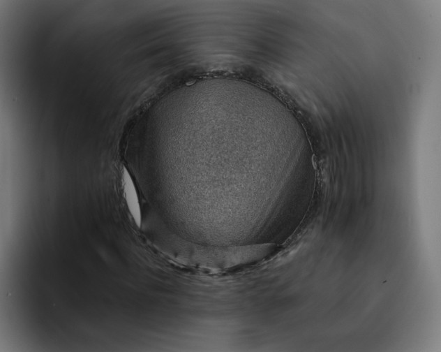 X0000093170916200710101209