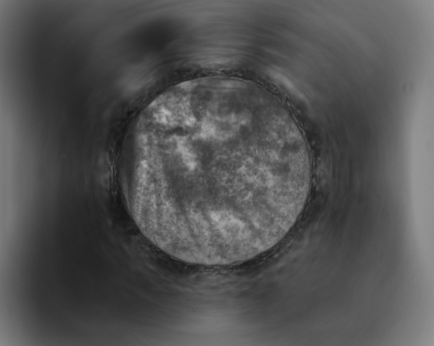 X0000093170917200710101209