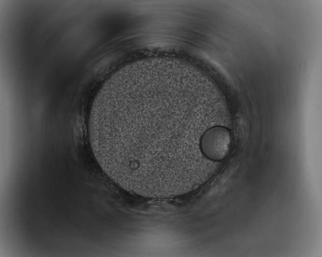 X0000093170918200710101209