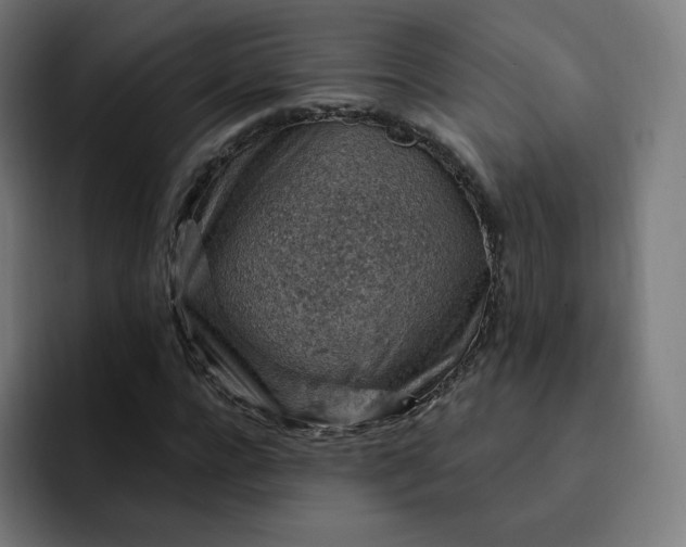 X0000093170920200710101209