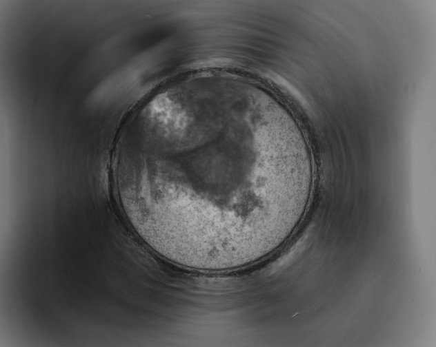 X0000093170921200710101209