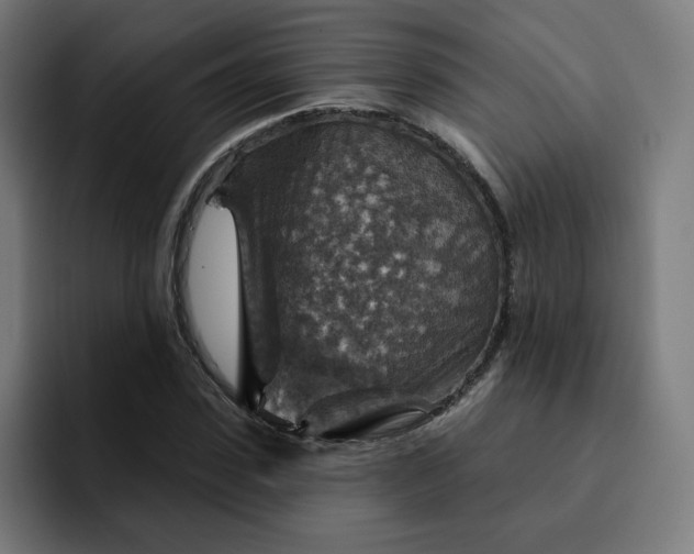 X0000093170923200710101209