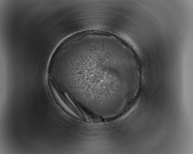 X0000093170924200710101209