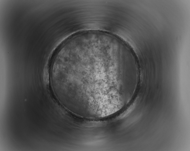 X0000093170925200710101209