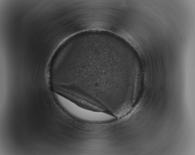 X0000093170926200710101209