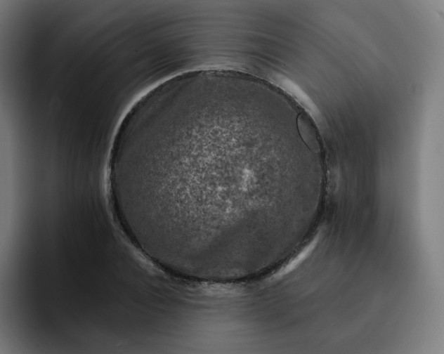 X0000093170928200710101209