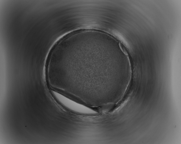 X0000093170932200710101209