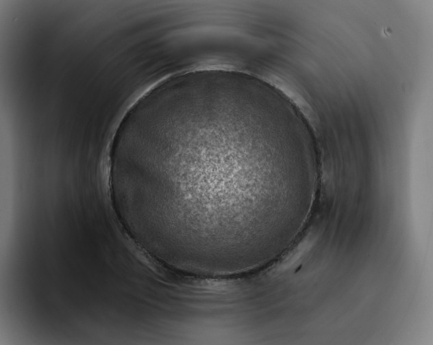 X0000093170933200710101210